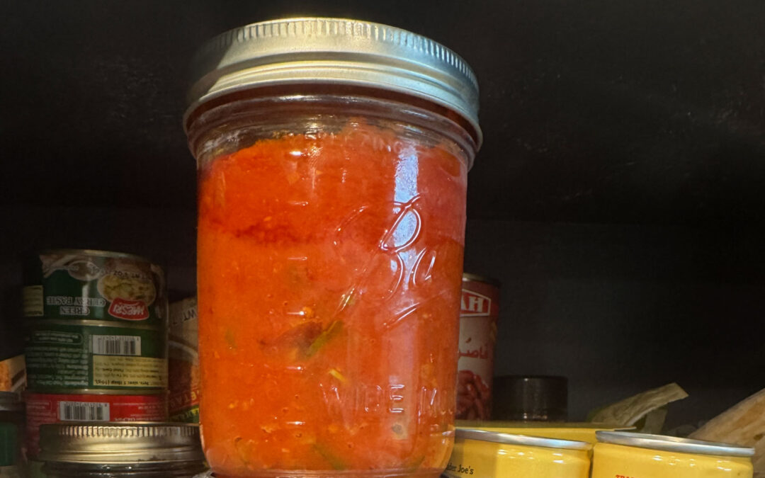San Marzano Tomato Sauce Recipe from Scratch